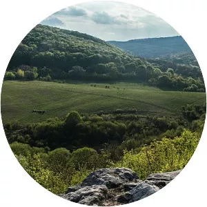 Bakony - Mountain in Hungary