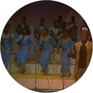 Bala Miller - Musician