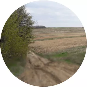 Bălănești Hill (Dealul Bălănești)