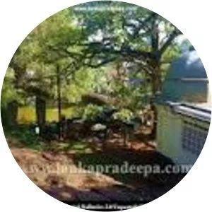 Balapokuna Rajamaha Viharaya - 