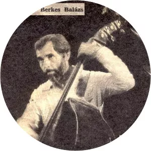 Balazs Berkes Musician