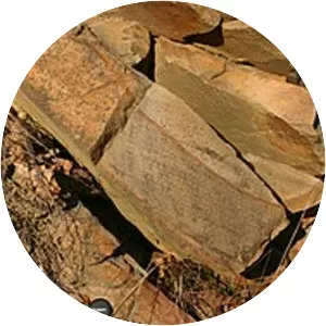 Bald Eagle Formation - 