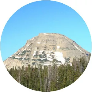 Bald Mountain