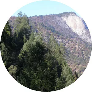 Bald Rock Dome - Batholith in California