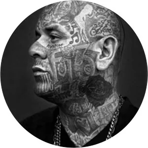 Baldacci - Musical artist