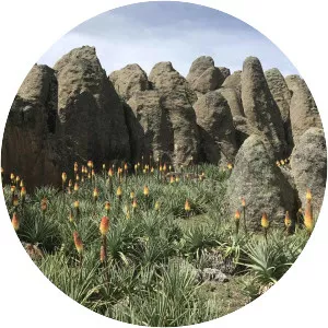 Bale Mountains - Mountain in Ethiopia