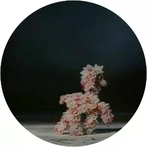 Ball of Wool - 1968 film