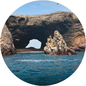 Ballestas Islands