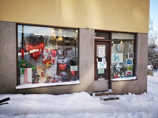 Ballongbud.se  - Party store in Sweden