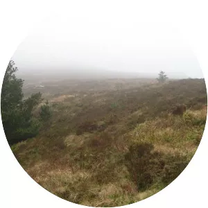 Ballyhoura Mountains - 