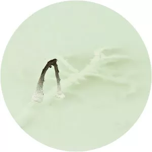 Balti SEJ Settebassein