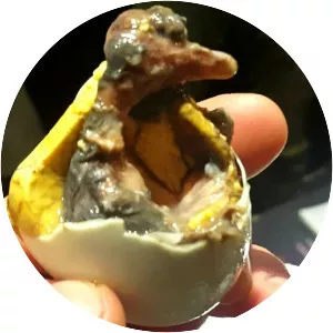 Balut - Street food
