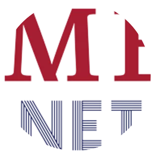 BAM Software and Services LLC