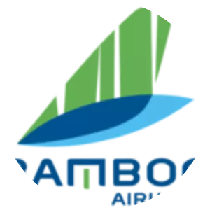Bamboo Airways