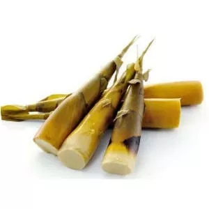 Bamboo shoot