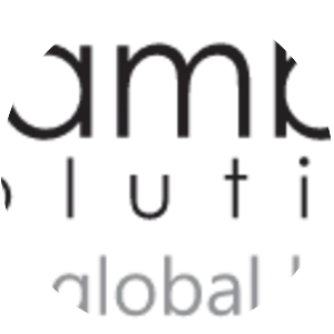 Bamboo Solutions Corporation