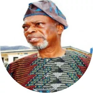 Bamidele Olumilua - Nigerian Politician