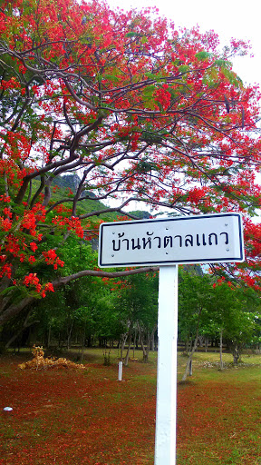 Ban Hua Tan School - School in Sam Roi Yot, Thailand