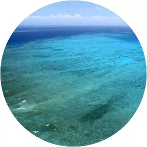 Banco Chinchorro - Atoll in Mexico