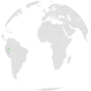 Band-tailed oropendola - 