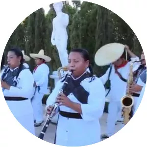 Banda Brigido Santamaría - Musical group