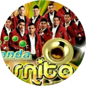 Banda Fresnitos - Musical artist