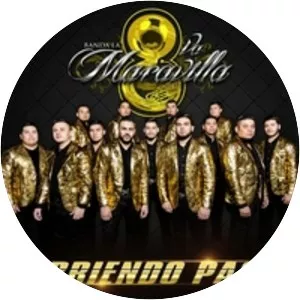 Banda La Octava Maravilla