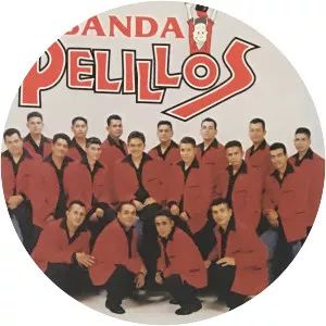 Banda Pelillos