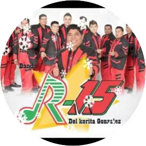 Banda R-15 - Musical band