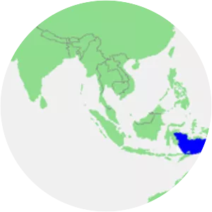 Banda Sea - 