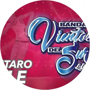 Banda Vientos Del Sur - Musical artist