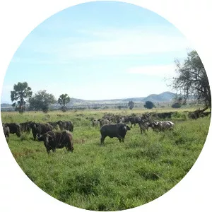 Bandingilo National Park