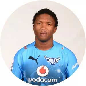 Bandise Maku - South African rugby union player