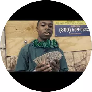 BandLife Birdy - Musical artist