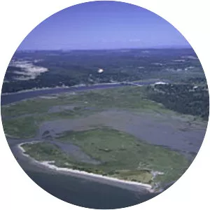 Bandon Marsh National Wildlife Refuge - Wildlife refuge in Oregon