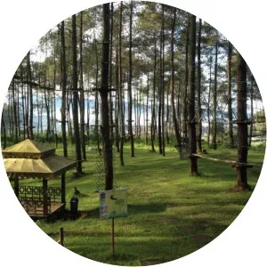 Bandung Treetop Adventure Park - 