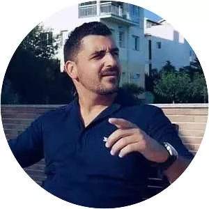 Bane Nedović - Musical artist