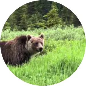 Banff National Park Of Canada