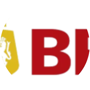 Bank of the Philippine Islands - Banking company