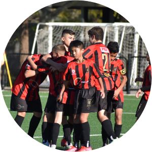 Bankstown City FC - Football club