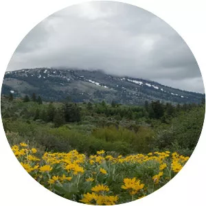 Bannock County - County in Idaho