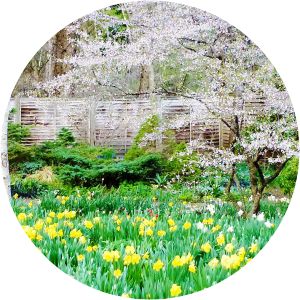 Barakura English Garden