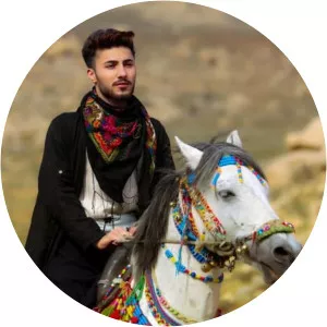 Baran Bari - Musical artist