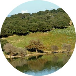 Barbate Reservoir