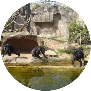 Barcelona Zoo - 