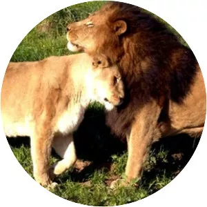 Barda Wildlife Sanctuary