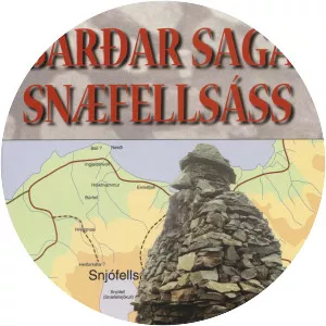Bárðar saga Snæfellsáss - Book