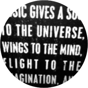 Bardia F - Musical artist