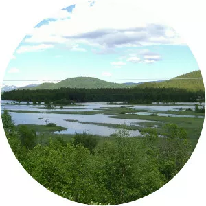 Barduelva - River in Norway
