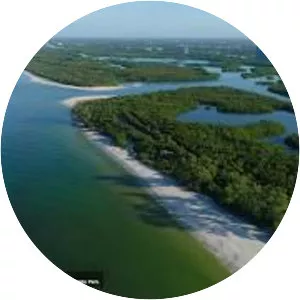 Barefoot Beach County Preserve - 
